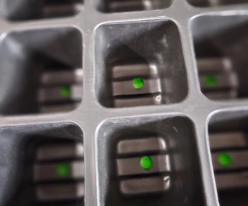 484519560_1053090530169463_517036714322086356_n