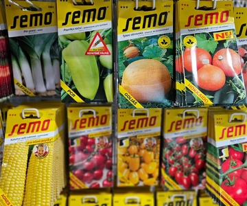 484842660_1053090480169468_3053604077222487321_n