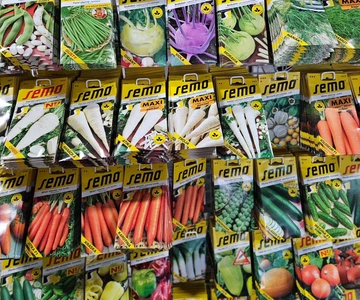 484864255_1053090433502806_145367282894600602_n