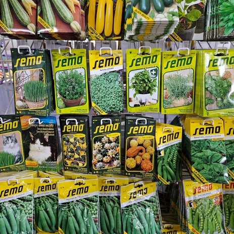 484985955_1053090490169467_3436167799489710725_n