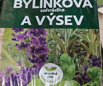 485002125_1053090426836140_5201146274963549002_n