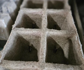 485363125_1053090456836137_5930777000729546328_n