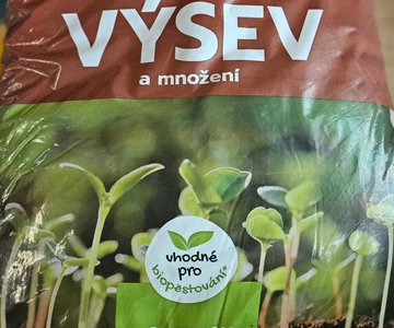 488648164_1065235275621655_1138206380999681948_n