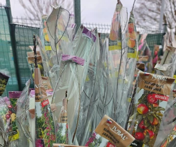 488655181_1064917698986746_5338629841481732638_n