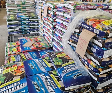 492097396_1075560744589108_5288034289617773365_n