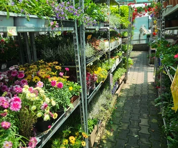 497745121_1116449317166917_855474376014617511_n