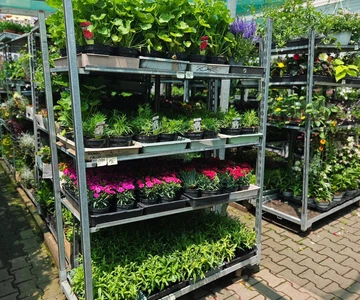 505037183_1117659093712606_3625226061401378523_n