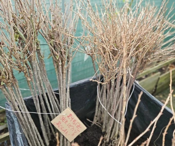 559888025_1217595957052252_661100121690330943_n