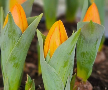 643324325_1331820178963162_4283806734063600544_n