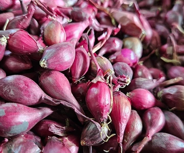 643370972_1331825385629308_166399469018212386_n