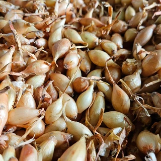 643422304_1331825378962642_53295802622545853_n