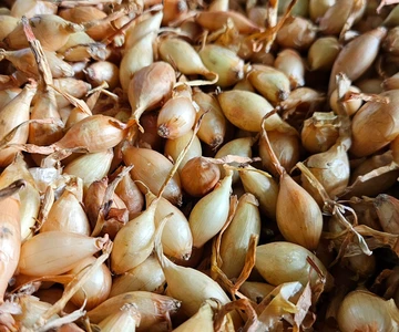 643422304_1331825378962642_53295802622545853_n