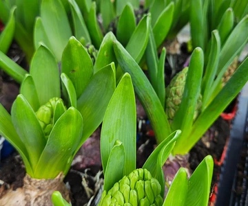 643463278_1331820175629829_6093855972604726869_n