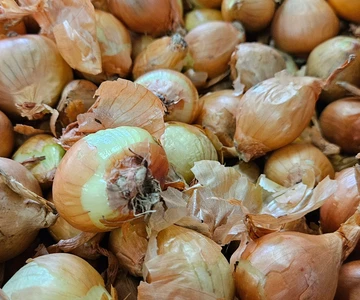 643833666_1331825392295974_6342397789618009250_n