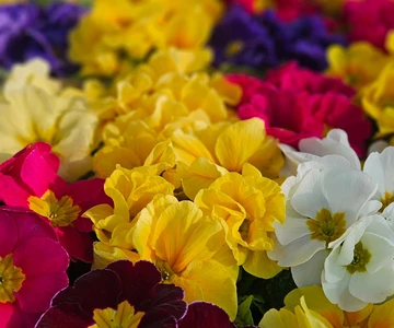 648105761_1336881868456993_6361313101600419847_n