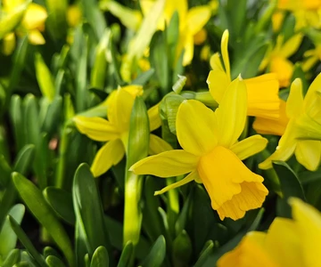 654259422_1352965346848645_7792071557099203256_n