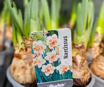 654468438_1352965316848648_4967082120717520842_n