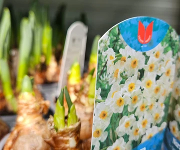 655800928_1352965353515311_780723725837190383_n