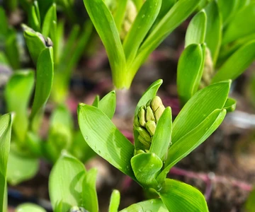 656027215_1352965300181983_3750847499499488232_n