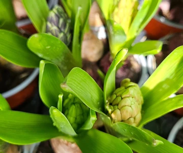 656593446_1352965326848647_7023684142230117088_n