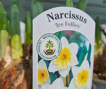 656778817_1352965323515314_7589364852205732945_n