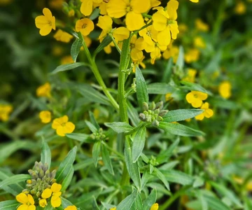 657829960_1358908402921006_1664956040714048406_n