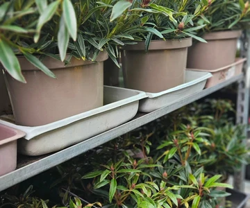 658159851_1358908419587671_879808874545373280_n