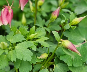 658223138_1358908396254340_1327272101982797354_n