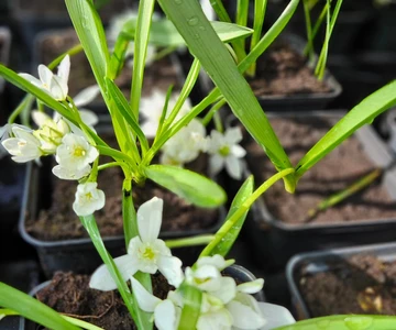 658599498_1352965333515313_360817662514107257_n