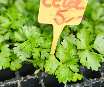 659417428_1358908349587678_6307738241606082455_n