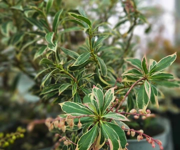 659792609_1358908406254339_1506244854463213906_n