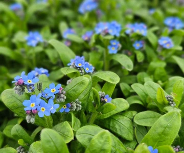 662874466_1358908392921007_7680383410423722245_n