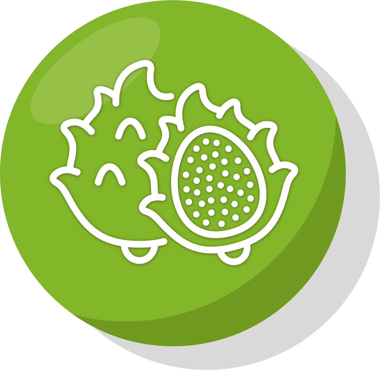 Když je po sezóně lokálních produktů, nabízíme exotické ovoce, pro dávku vitamínů i v zimě.