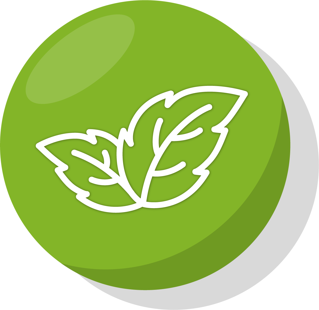 Ovoce a zelenina jsou od českých farmářů, takže chutnají skvěle a bývají vždy naprosto čerstvé.