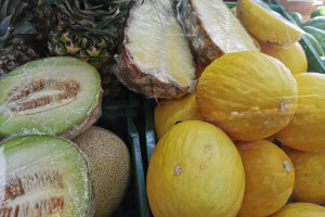 Meloun, ananas Znojmo